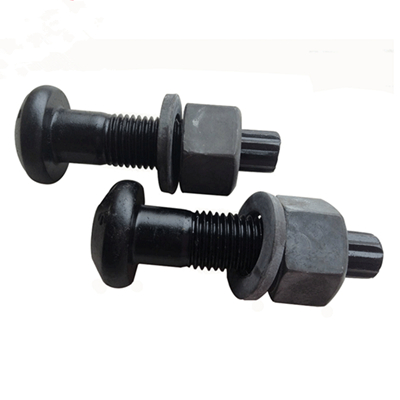 Torsional shear bolt