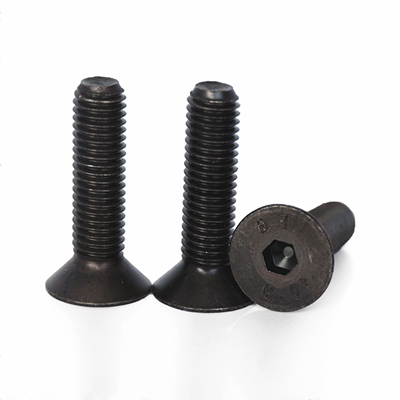 Hexagon socket countersunk head screw